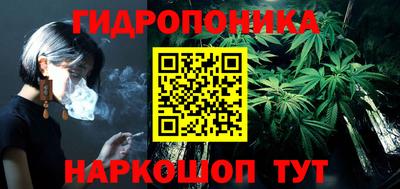 spice Рязань