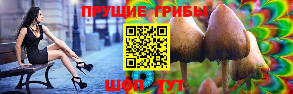 Псилоцибиновые грибы GOLDEN TEACHER  Вход с VPN  Псков 